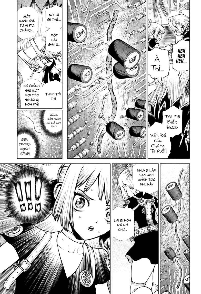 Dr.stone Chapter 225 - 8