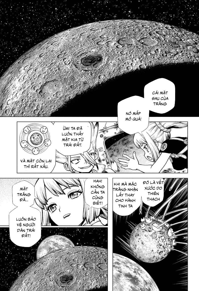 Dr.stone Chapter 226 - 11