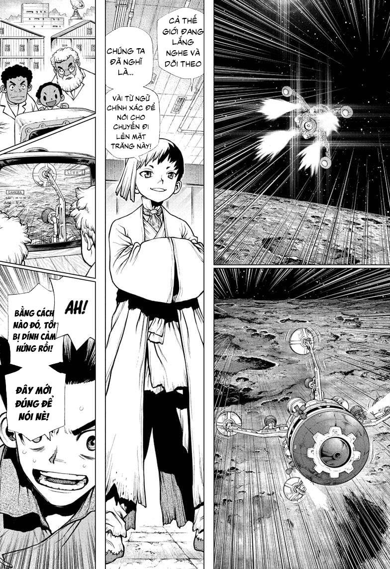 Dr.stone Chapter 226 - 15