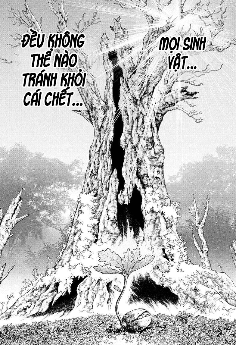 Dr.stone Chapter 230 - 2