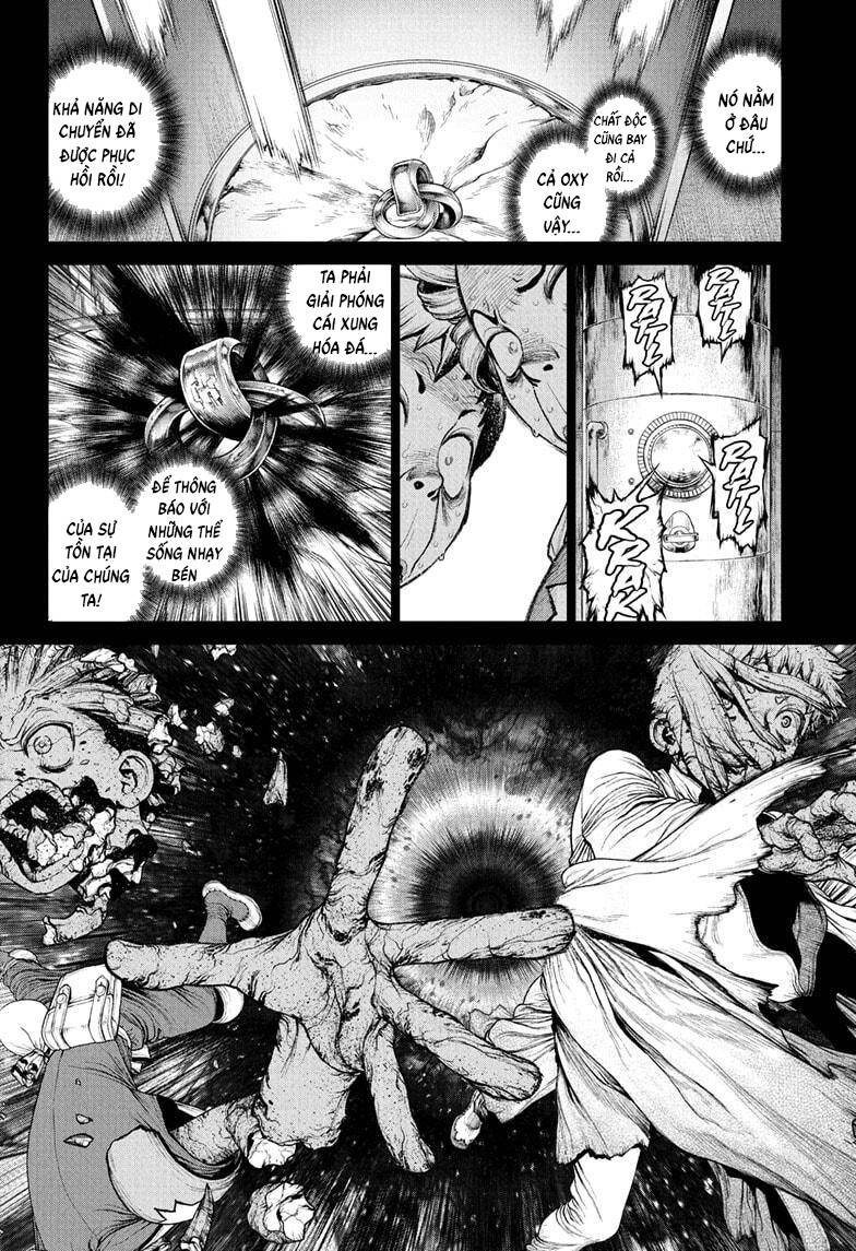 Dr.stone Chapter 230 - 9