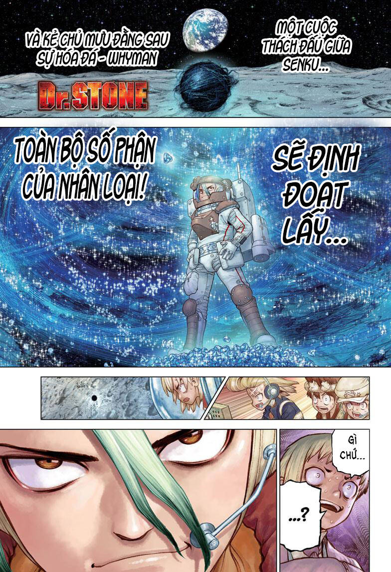 Dr.stone Chapter 231 - 2