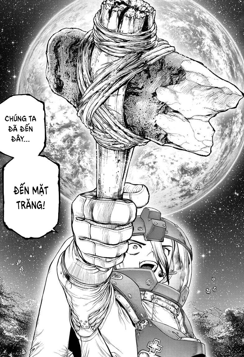 Dr.stone Chapter 231 - 12