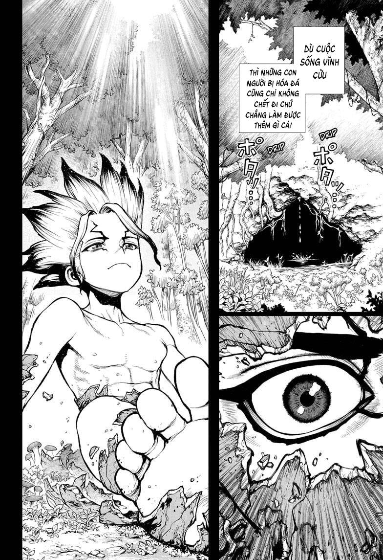 Dr.stone Chapter 229 - 14