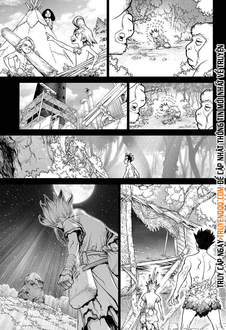 Dr.stone Chapter 229 - 15