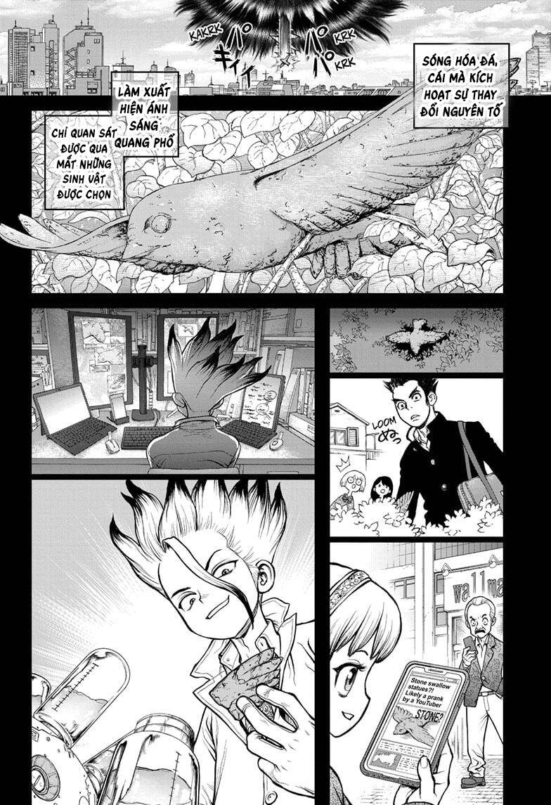 Dr.stone Chapter 229 - 7