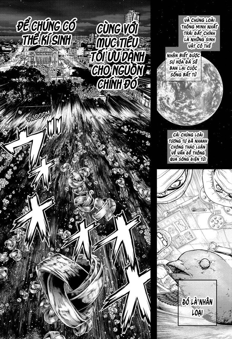 Dr.stone Chapter 229 - 8