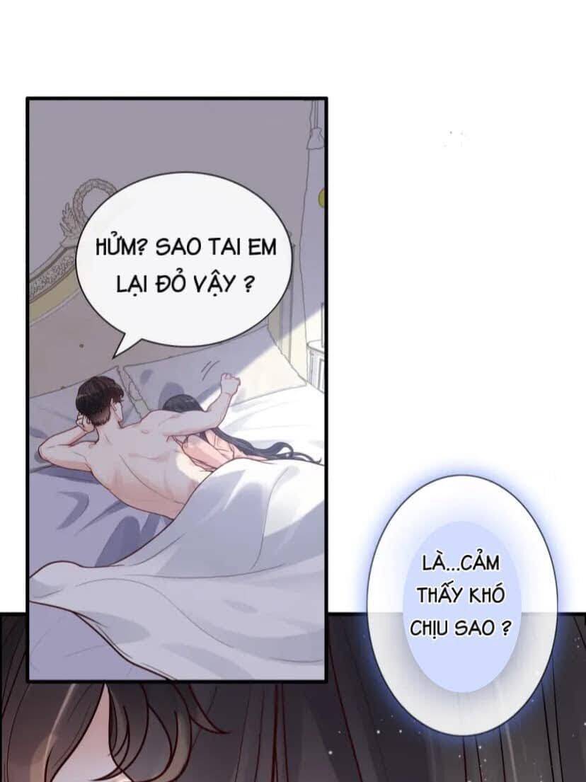 Cô Vợ Hợp Đồng Bỏ Trốn Của Tổng Giám Đốc Chapter 395.5 - 2