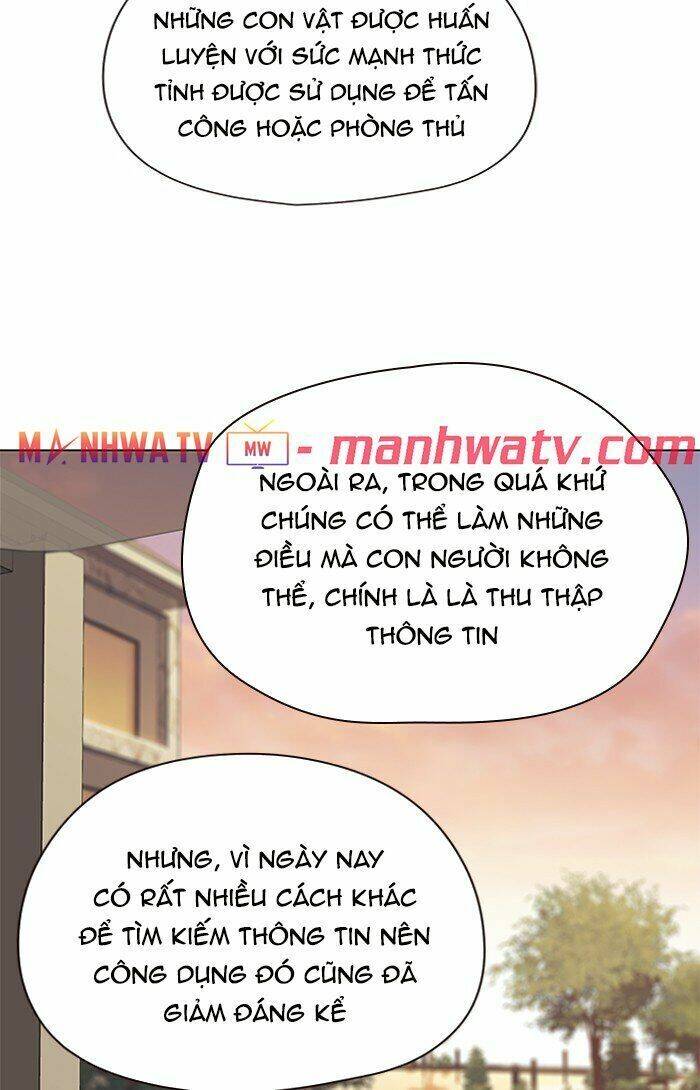 Hoá Thân Thành Mèo Chapter 81 - 41