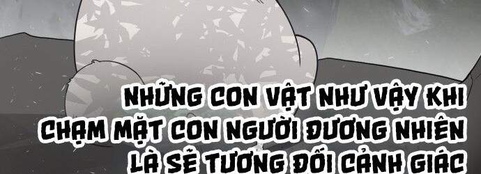 Kĩ Nguyên Của Anh Hùng Chapter 70 - 65