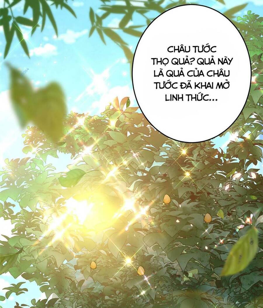 Chưởng Môn Khiêm Tốn Chút Chapter 183 - 37