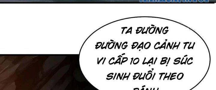 Ta Chỉ Muốn Bị Các Vị Đánh Chết Chapter 69 - 3