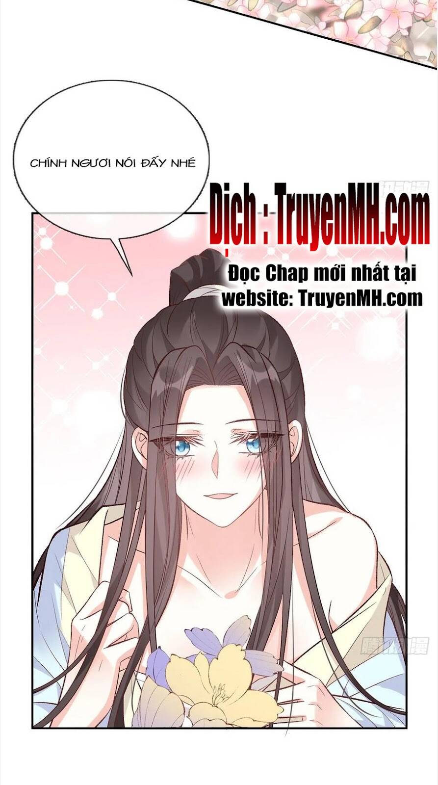 Kiều Mỵ Phu Lang, Tại Tuyến Lục Trà Chapter 103 - 11