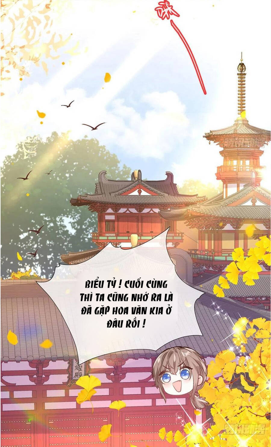 Kiều Mỵ Phu Lang, Tại Tuyến Lục Trà Chapter 111 - 16