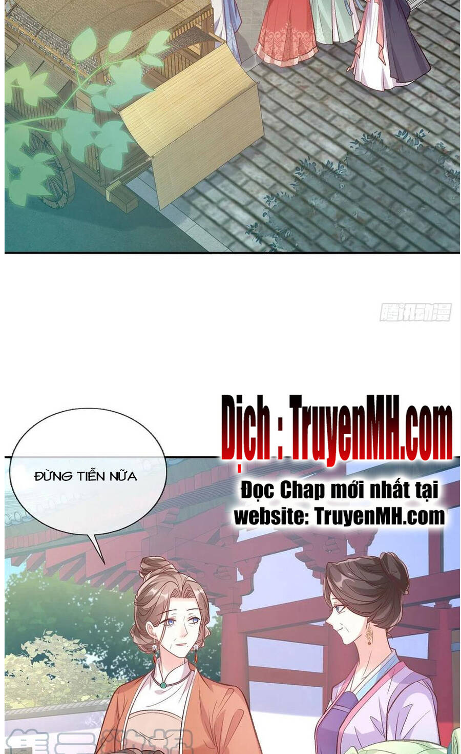 Kiều Mỵ Phu Lang, Tại Tuyến Lục Trà Chapter 113 - 10