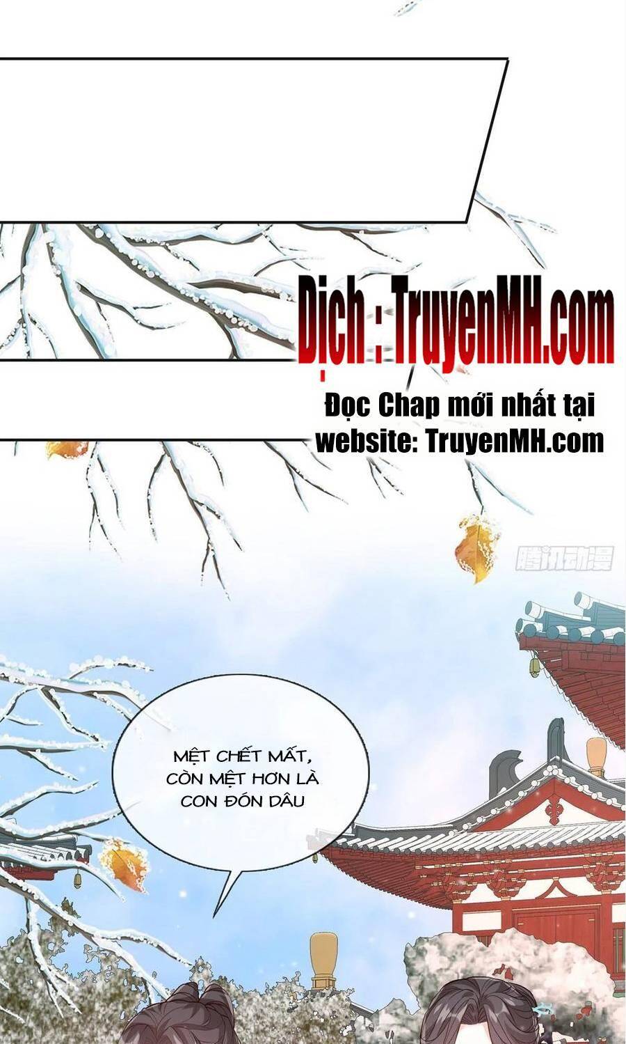 Kiều Mỵ Phu Lang, Tại Tuyến Lục Trà Chapter 119 - 2