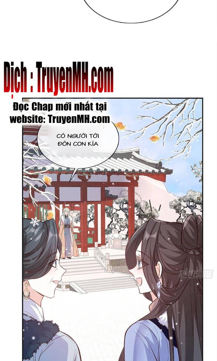 Kiều Mỵ Phu Lang, Tại Tuyến Lục Trà Chapter 119 - 7