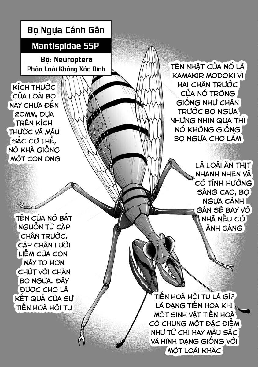 Dãy Núi Côn Trùng Chapter 43 - 13