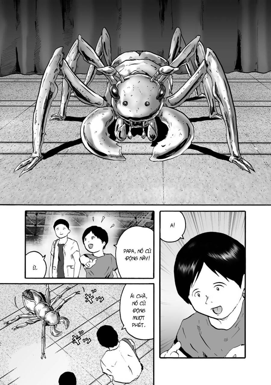 Insects R Chapter 1 - 31