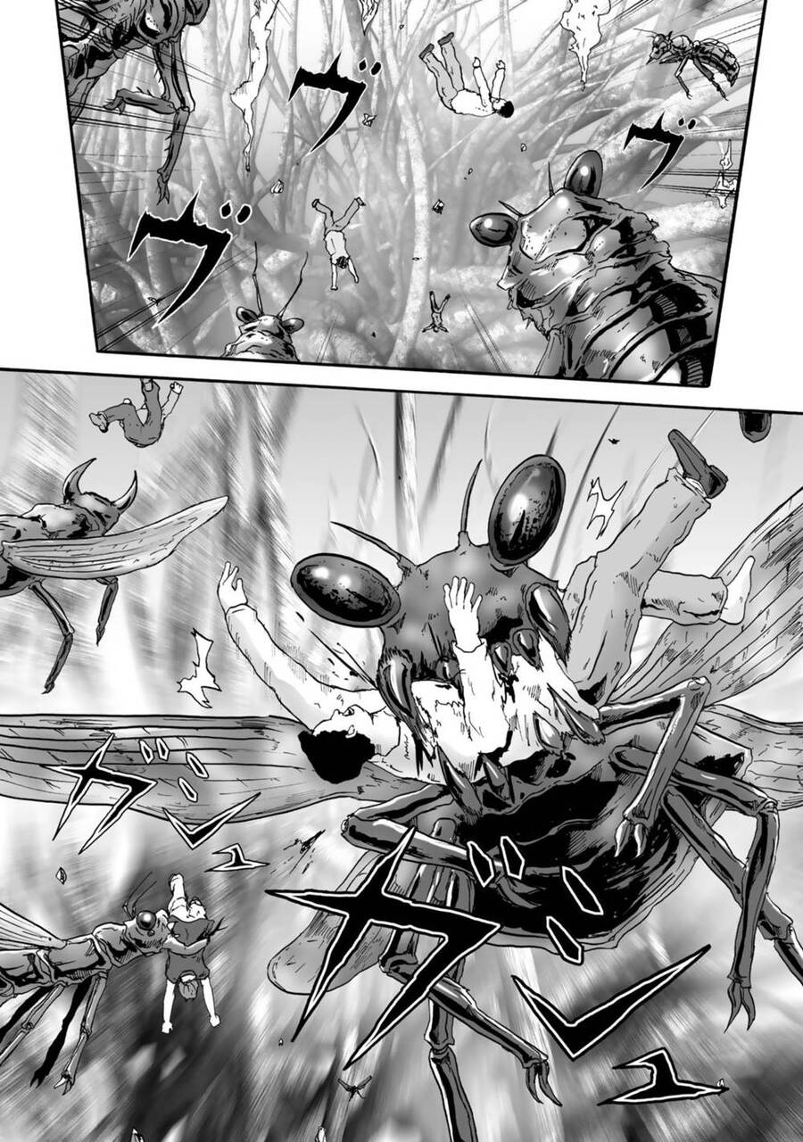 Insects R Chapter 3 - 14