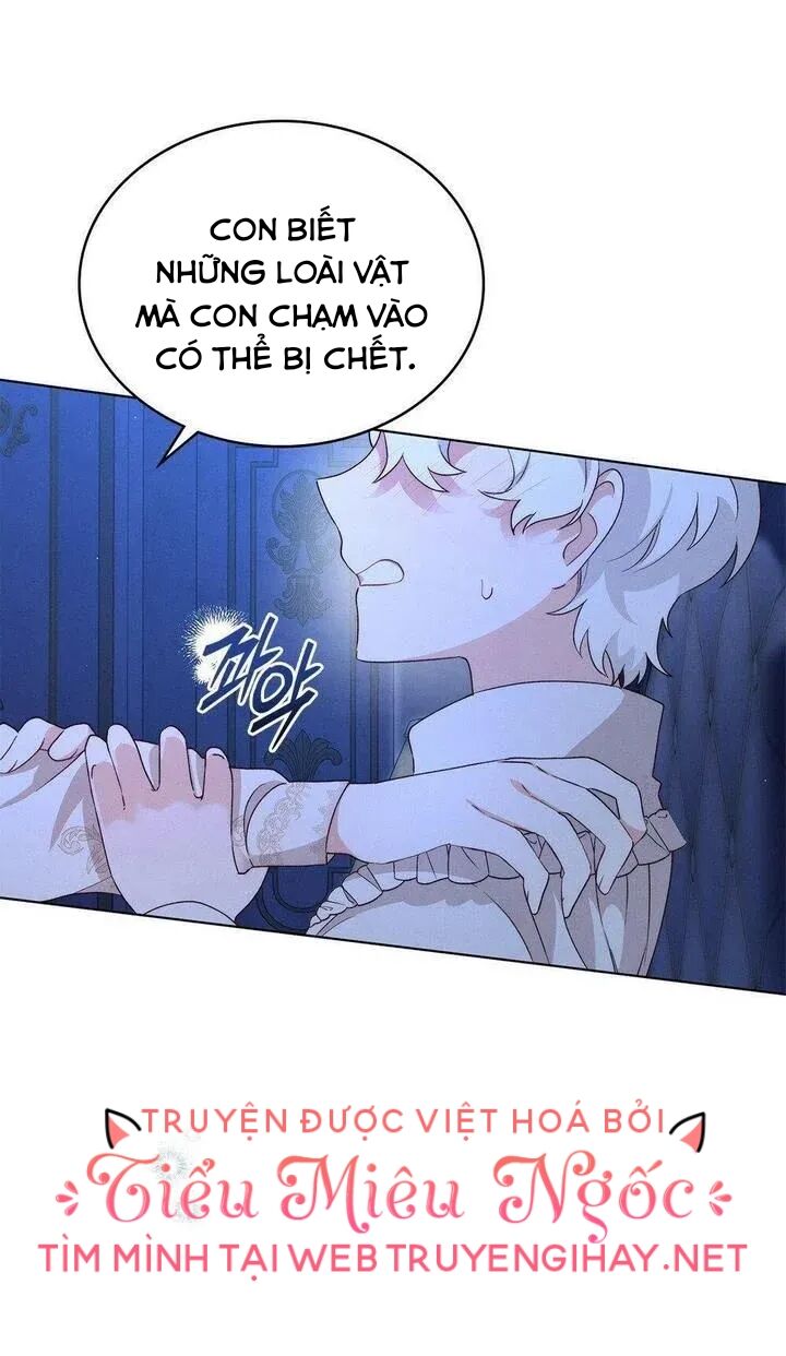 Ánh Sáng Vàng Của Bình Minh Chapter 16 - 8