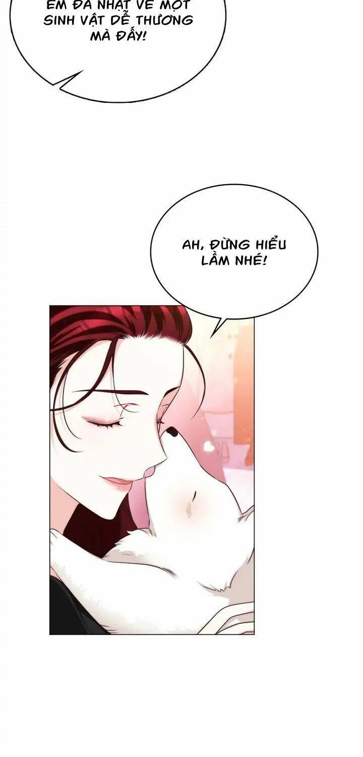 Ánh Sáng Vàng Của Bình Minh Chapter 6 - 27