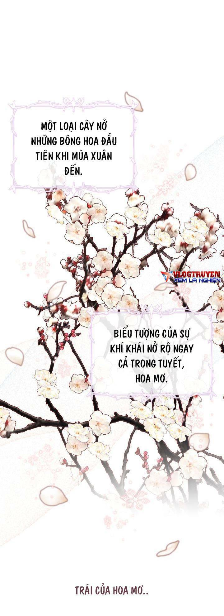 Công Chúa Dược Sĩ Bé Con Chapter 7 - 29