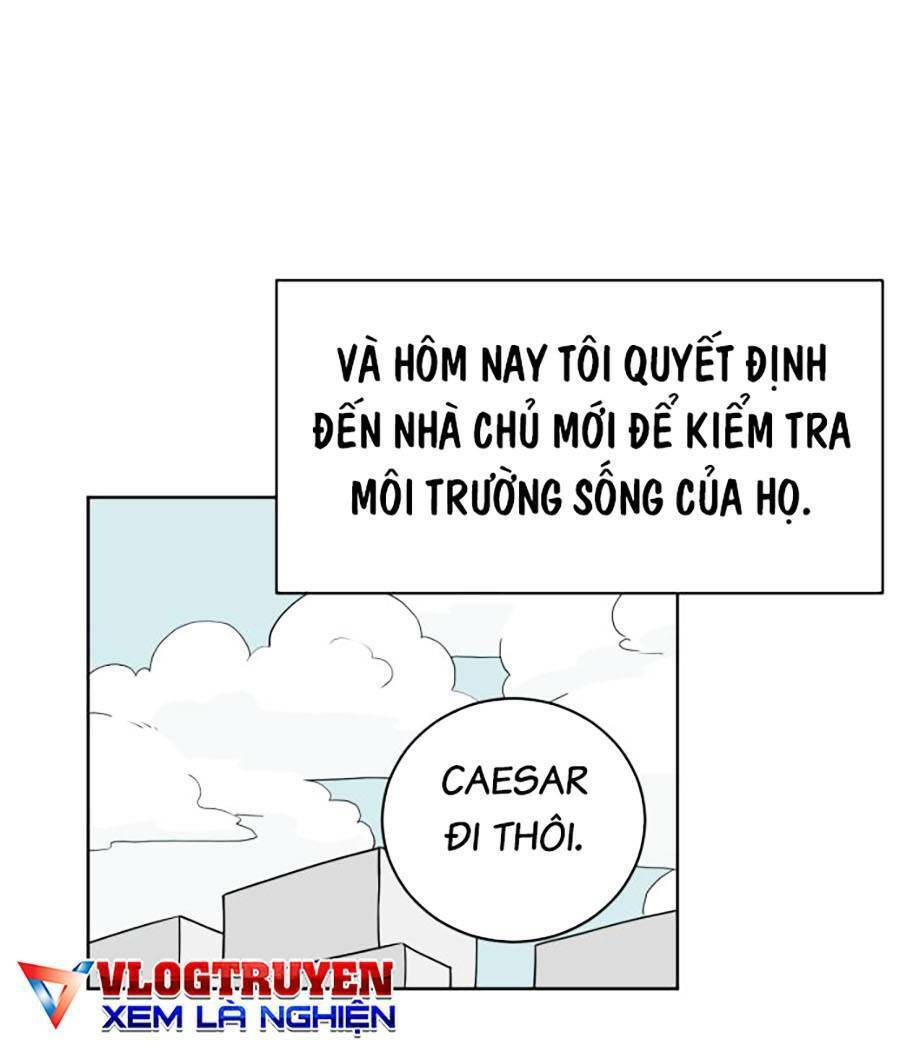 Con Mèo Đô Vật Của Tôi Chapter 2 - 3