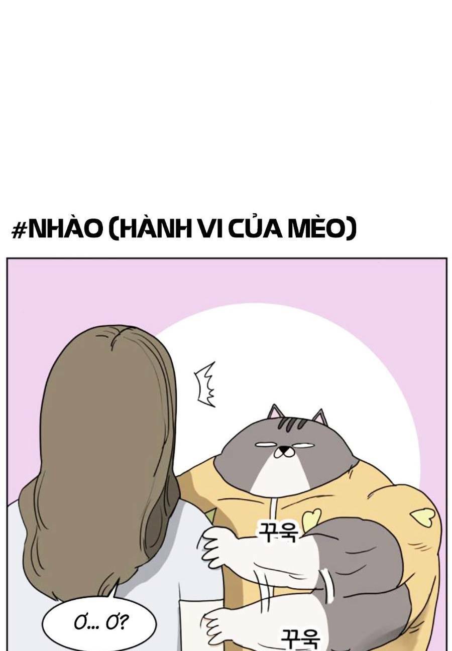 Con Mèo Đô Vật Của Tôi Chapter 3 - 22