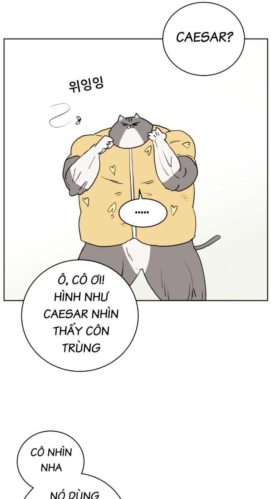 Con Mèo Đô Vật Của Tôi Chapter 3 - 55