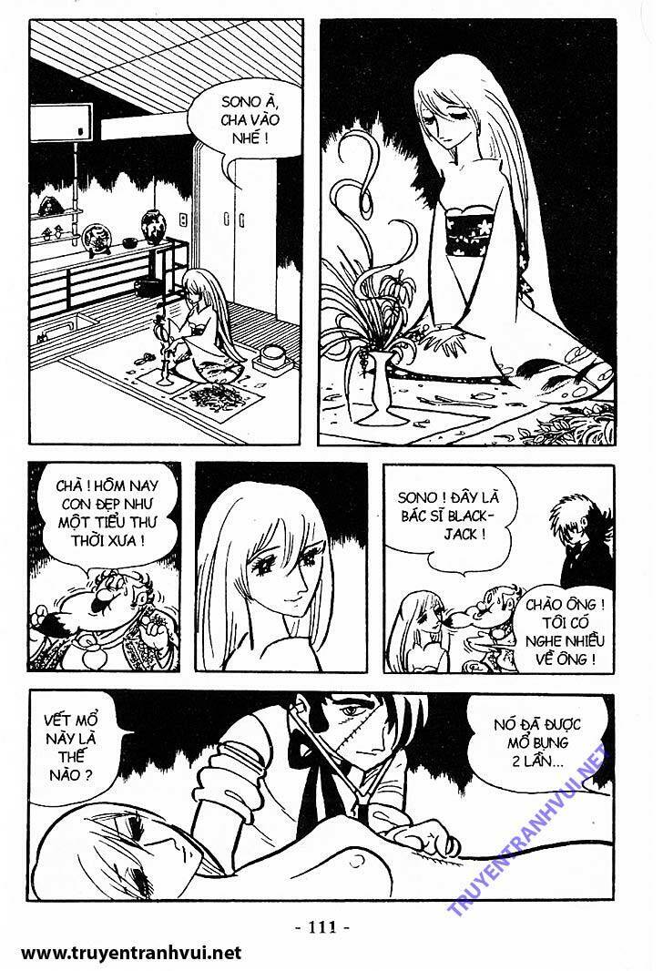 Black Jack Chapter 204 - 6