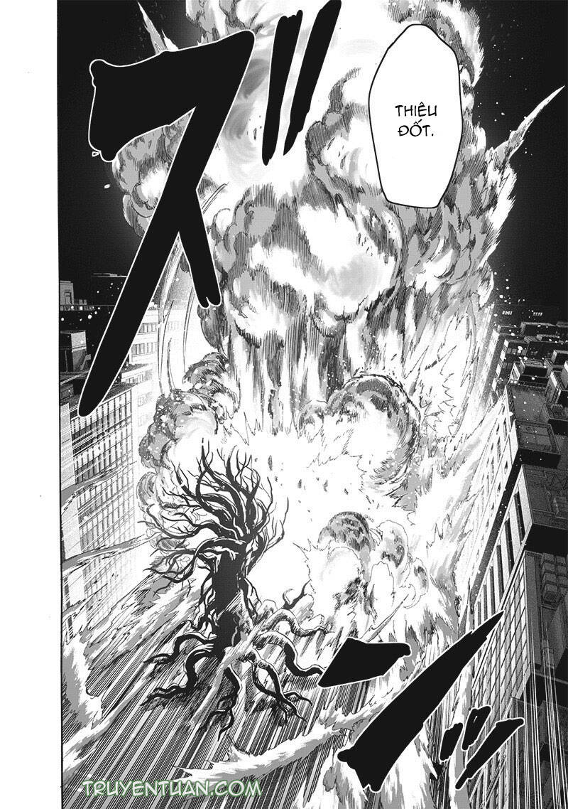 Onepunch Man Chapter 232 - 25