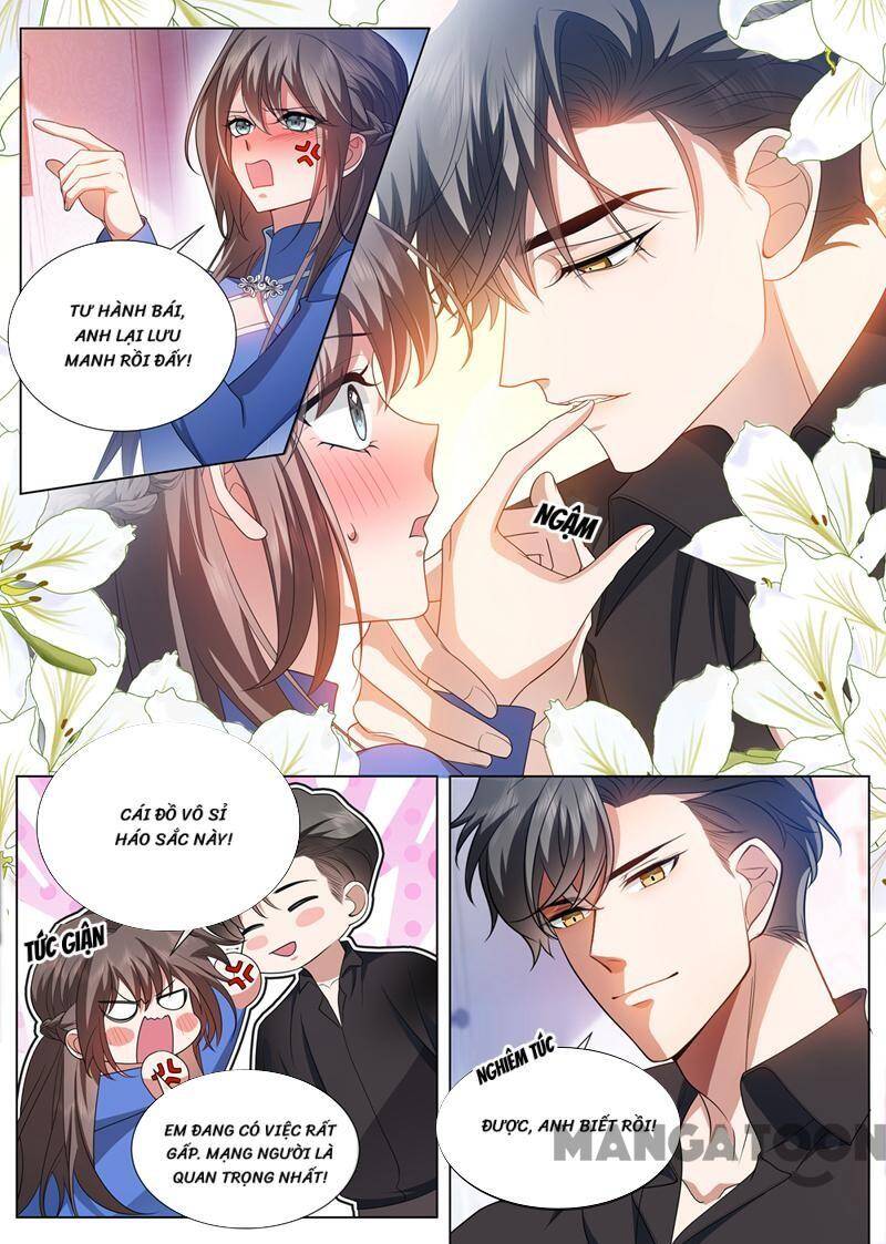 Thiếu Soái! Vợ Ngài Lại Bỏ Trốn Chapter 500 - 1