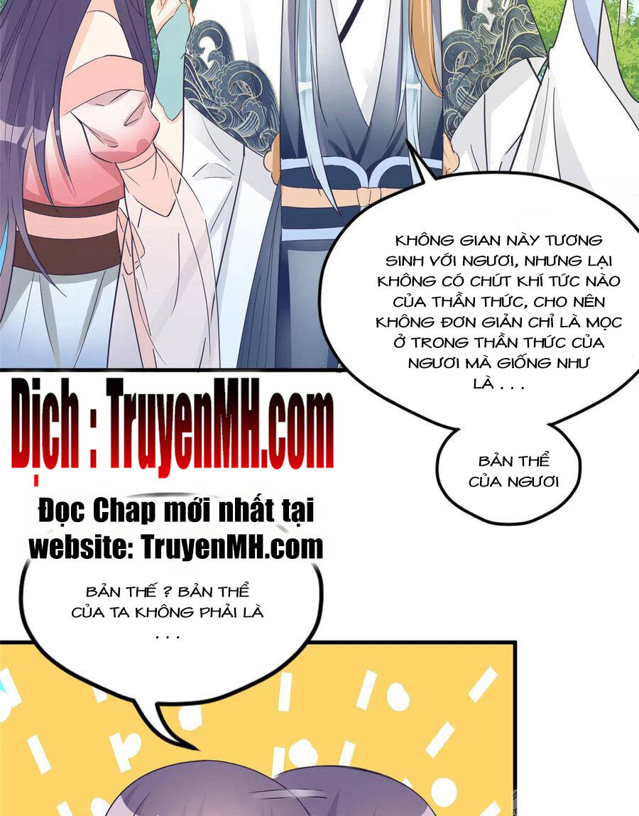 Đồ Đệ Nhà Ta Lại Quải Rồi Chapter 300 - 4